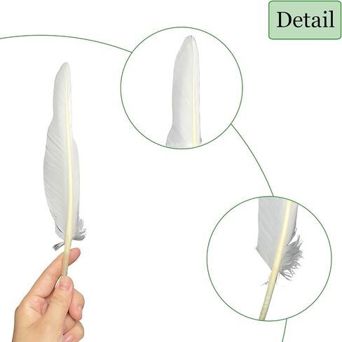 LWINGFLYER 25pcs 10"-12" Long Goose Feathers Quill for Pen Craft Festival Halloween Hats Costumes Decorations (Natural) in Kuwait