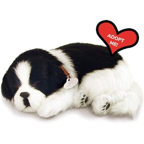 Border Collie - Pet Mate/Nap Breathing Life Like Sleeping Dog in Bed Sleeping Pet