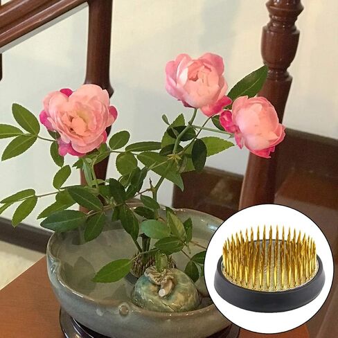 2 Pcs Flower Frog Round Flower Arranging Frog Spiky Frog Fixed Tools Art Floral Arrangement Holder for Flower Arrangement Art Home Office Decoration in Saudi Arabia
