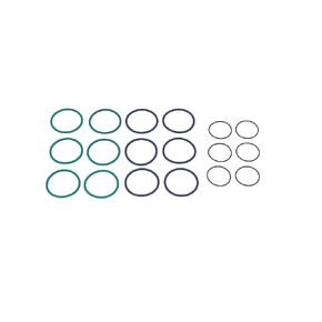 BTS-Fuel Injector Sleeve Oring Kit Kit de casquillo de inyector de Combustible 3406E/C15/C16/C18