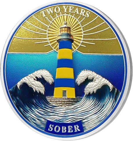 5 Year Sobriety Coin | Alcoholics Anonymous Campfire AA Coins Sobriety Gifts for Men & Women | Celebratory Living Clean AA Coin for Annual Sober Chip Anniversary | AA Chips and AA Medallions in Kuwait