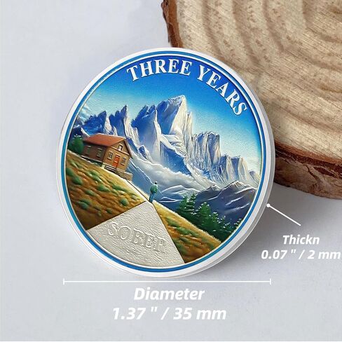 5 Year Sobriety Coin | Alcoholics Anonymous Campfire AA Coins Sobriety Gifts for Men & Women | Celebratory Living Clean AA Coin for Annual Sober Chip Anniversary | AA Chips and AA Medallions in Kuwait