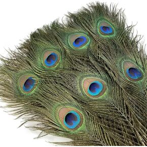 Sowder Natural Peacock Sword Feathers 10-15 Inches for Wedding Home Decoration Pcak of 30