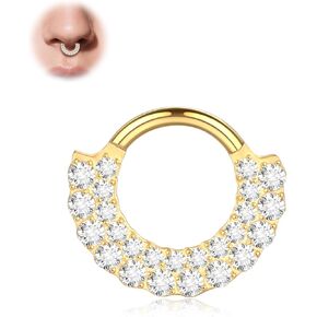 Aumeo G23 Titanium Septum Nose Rings 16G Nose Hoop Ring Hinged Septum Clicker Nose Ring Daith Tragus Hoop Earring