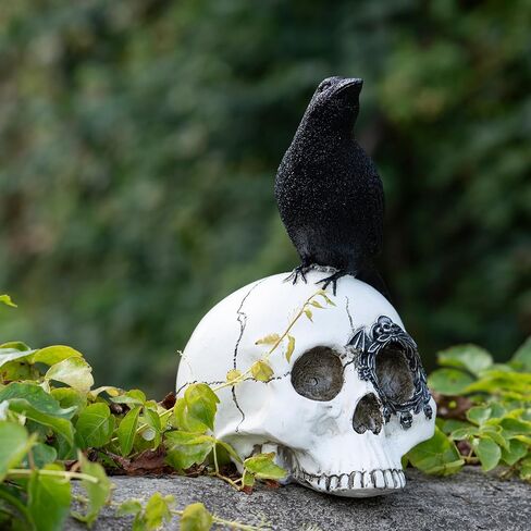 Raven On Skull Halloween Home Decor,Skull Statue,Skull Haunted House Prop Crow Decoration Halloween,Halloween Fun Decorations Horror Statues in Saudi Arabia