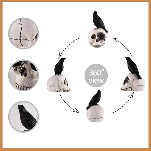 Raven On Skull Halloween Home Decor,Skull Statue,Skull Haunted House Prop Crow Decoration Halloween,Halloween Fun Decorations Horror Statues in Saudi Arabia