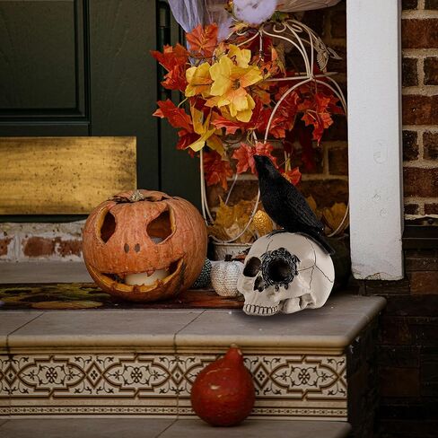 Raven On Skull Halloween Home Decor,Skull Statue,Skull Haunted House Prop Crow Decoration Halloween,Halloween Fun Decorations Horror Statues in Saudi Arabia