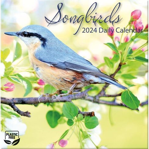 Turner Photographic Songbirds Photo Box Calendars (25998053106) in Saudi Arabia