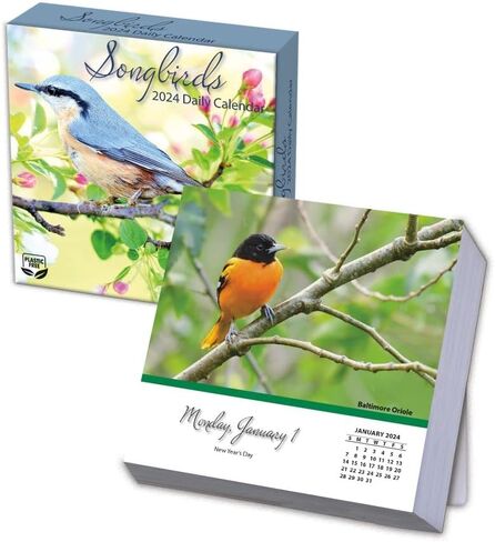 Turner Photographic Songbirds Photo Box Calendars (25998053106) in Saudi Arabia