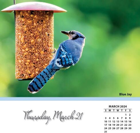 Turner Photographic Songbirds Photo Box Calendars (25998053106) in Saudi Arabia