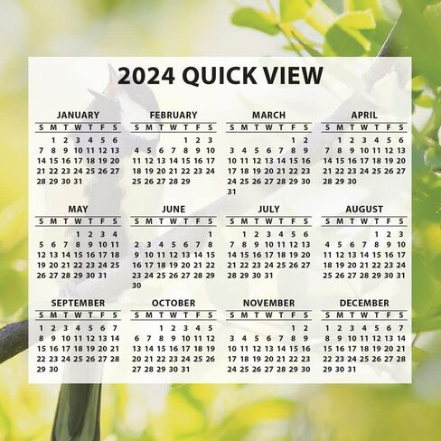 Turner Photographic Songbirds Photo Box Calendars (25998053106) in Saudi Arabia