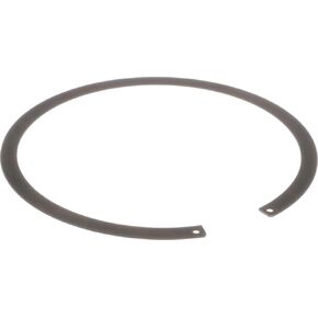 Delphi FA10022 Fuel Tank Lock Ring