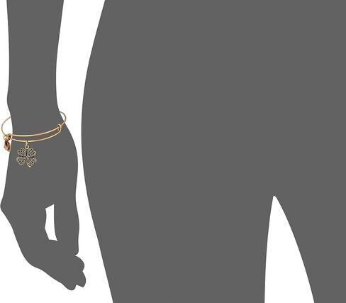 Alex and Ani Womens Path of Symbols-Four Leaf Clover IV Bangle in Saudi Arabia
