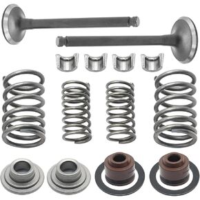 Cylinder Valve Rebuild Kit with Springs Seals and Retainers Replacement for Taotao Replacement for Sunl 70cc 90cc 110cc ATV Dirt Bike Go Kart