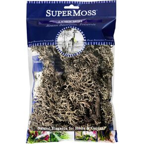 SuperMoss Branched Lichen Parmelia, Natural Grey