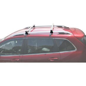 BrightLines 53" All Black Universal Crossbars Roof Racks Compatible with Raised Roof Side Rails for Kayak Luggage ski Bike Carrier, a Set of 2 (Black)