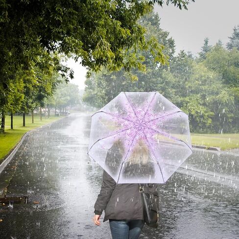 Plastic Transparent Folding Light Purple Cherry Flower Blossom Umbrella, Travel Clear Floral Rain Umbrella Outdoor Fashionable Windproof for Adult Kids Girls Princess Women in Saudi Arabia