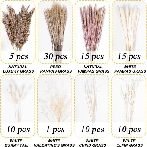 Natural Pampas Grass,Freely Matched Pampas Grass Decor,Boho Home Decor (96pcs),Can be Used for Home Decoration,Wedding,Small Party in Saudi Arabia
