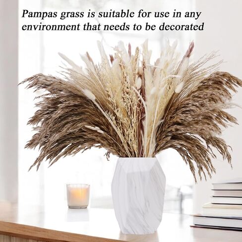 Natural Pampas Grass,Freely Matched Pampas Grass Decor,Boho Home Decor (96pcs),Can be Used for Home Decoration,Wedding,Small Party in Saudi Arabia