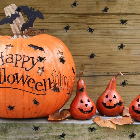 Fake Spiders Halloween Mini Spiders 100Pcs Black Small Fake Spider Realistic Plastic Scary Spiders Novelty False Spiders for Boys Adults Halloween Decorations Outdoor Indoor Prank Props Party Supplies in Saudi Arabia