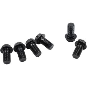 Quartermaster Quarter Master 505001 Flywheel Bolt Kit