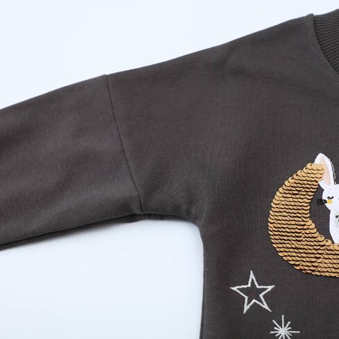 HILEELANG Toddler Girl Long Sleeve Dress Cotton Casual Jersey Shirt Playwear Applique Dress in Saudi Arabia