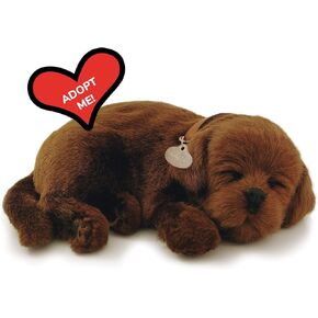 Original Petzzz Chocolate Lab, Realistic, Lifelike Stuffed Interactive Pet Toy, Companion Pet Dog with 100% Handcrafted Synthetic Fur