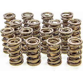 Isky Racing Cams (9945-RAD) 1.625" O.D. Valve Spring
