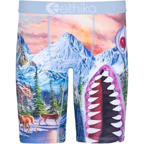 Ethika Mens Staple Boxer Brief | BMR Abominable