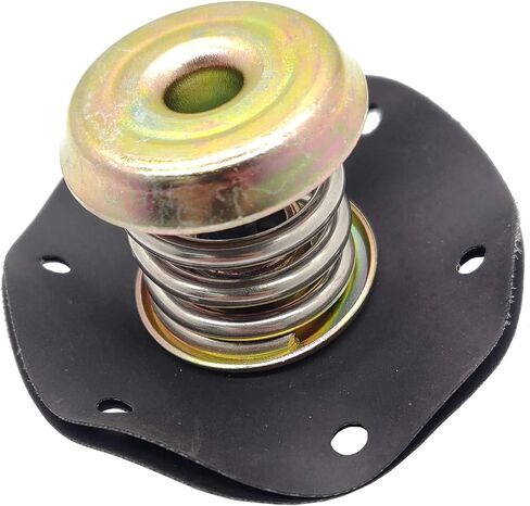 منظم ضغط الوقود الحجاب الحاجز لـ 1985-1995 شيفروليه كامارو كورفيت بونتياك فايربيرد بويك كاديلاك 2.8L 3.1 L 3.4 L 5.0 L 5.7L V6 V8 17110851 PR10 in Kuwait