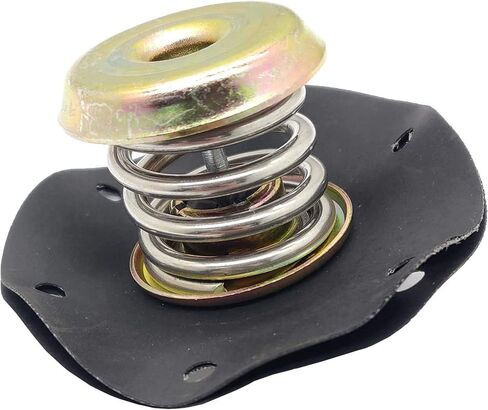 منظم ضغط الوقود الحجاب الحاجز لـ 1985-1995 شيفروليه كامارو كورفيت بونتياك فايربيرد بويك كاديلاك 2.8L 3.1 L 3.4 L 5.0 L 5.7L V6 V8 17110851 PR10 in Kuwait