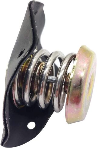 منظم ضغط الوقود الحجاب الحاجز لـ 1985-1995 شيفروليه كامارو كورفيت بونتياك فايربيرد بويك كاديلاك 2.8L 3.1 L 3.4 L 5.0 L 5.7L V6 V8 17110851 PR10 in Kuwait