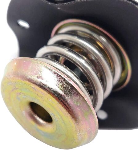 منظم ضغط الوقود الحجاب الحاجز لـ 1985-1995 شيفروليه كامارو كورفيت بونتياك فايربيرد بويك كاديلاك 2.8L 3.1 L 3.4 L 5.0 L 5.7L V6 V8 17110851 PR10 in Kuwait