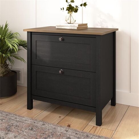 Bush Furniture Mayfield 2 Drawer Lateral File Cabinet in Vintage Black and Reclaimed Pine | Storage for Home Office Workspace in Saudi Arabia