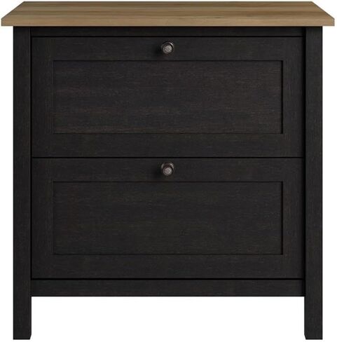 Bush Furniture Mayfield 2 Drawer Lateral File Cabinet in Vintage Black and Reclaimed Pine | Storage for Home Office Workspace in Saudi Arabia