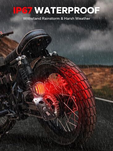 Amazicha 1" Motorcycle LED Tail Brake Light with Bracket, Waterproof Motorcycle Side Mount License Plate Rear Light Compatible for Harley Sporster Bobber Chopper Honda Yamaha Suzuki Kawasaki in Saudi Arabia