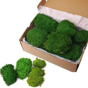 2 sq.ft Preserved Pillow Moss for Wall Decor Table Decor for DIY Bowl of Pole Moss Natural Green(Green)