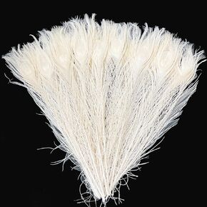 20PCS Long Peacock Feathers Off White 16-18 Inch Feather for Crafts Tall Vases Home Decor Wedding Centerpieces Decorations Christmas Tree Ornament Flower Arrangement