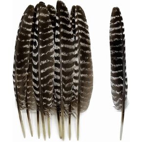 20pcs Small Natural Feathers Spotted Black and White Feathers 3-4Inch Wild Turkey Feather for Cowboy Hats Crafts Clothing Jewelry Accessories Party Decorations