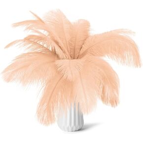 80 قطعة 15-17 بوصة (38-43 سم) مجموعة ريش النعام الأبيض الطبيعي. تحتوي المجموعات على 8-10 بوصات من الريش و7 بوصات من أعواد الريش الأبيض. لمشاريع DIY المختلفة. (أبيض) in Kuwait