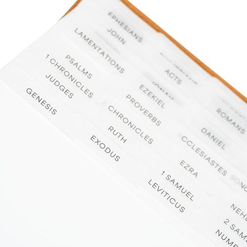 Portable Bible tabs | Cute Vellum Paper Bible Tabs for Men & Women | Journaling Tabs for Bible | Boho Bible Tabs | Bible Book Tabs | Book Navigator - Minimalist Bible tabs | Sticky Bible Tabs in Saudi Arabia