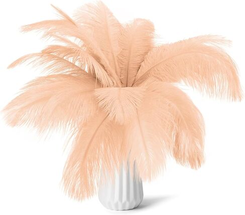 80 قطعة 15-17 بوصة (38-43 سم) مجموعة ريش النعام الأبيض الطبيعي. تحتوي المجموعات على 8-10 بوصات من الريش و7 بوصات من أعواد الريش الأبيض. لمشاريع DIY المختلفة. (أبيض) in Kuwait