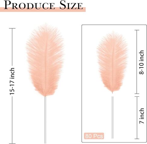 80 قطعة 15-17 بوصة (38-43 سم) مجموعة ريش النعام الأبيض الطبيعي. تحتوي المجموعات على 8-10 بوصات من الريش و7 بوصات من أعواد الريش الأبيض. لمشاريع DIY المختلفة. (أبيض) in Kuwait