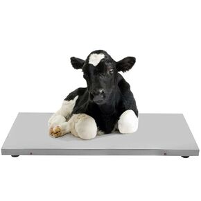 New Model 1100LB(500 KG *0.1 KG) Large Platform 41 inch Postal Digital Shipping Livestock Scale Pets Scale Small Cow or Pig Scale Animal Scale Dog Scale with Both Plug and Battery
