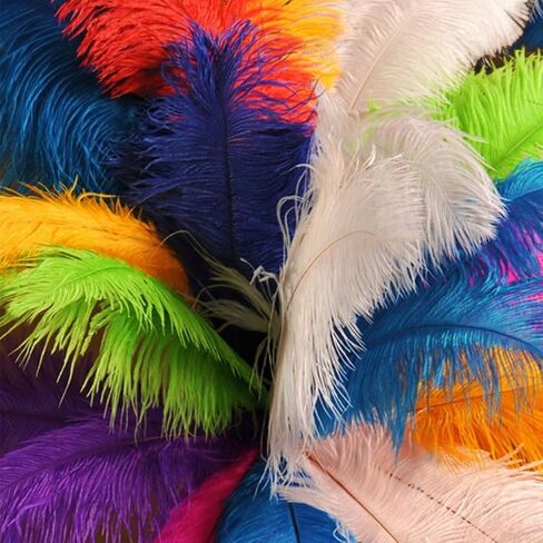 10Pcs Bulk Natural Colorful Ostrich Feathers,12-14 inch (30-35cm) Beautiful Long Feather for Crafts,Wedding Centerpieces Party Home Decoration,Dress and Christmas DIY (Colorful, 12-14in) in Saudi Arabia