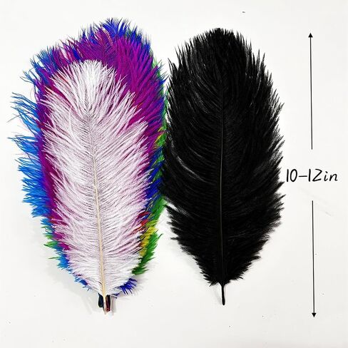 10Pcs Bulk Natural Colorful Ostrich Feathers,12-14 inch (30-35cm) Beautiful Long Feather for Crafts,Wedding Centerpieces Party Home Decoration,Dress and Christmas DIY (Colorful, 12-14in) in Saudi Arabia