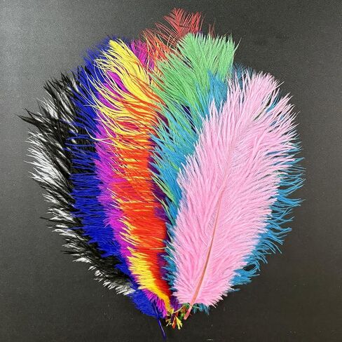10Pcs Bulk Natural Colorful Ostrich Feathers,12-14 inch (30-35cm) Beautiful Long Feather for Crafts,Wedding Centerpieces Party Home Decoration,Dress and Christmas DIY (Colorful, 12-14in) in Saudi Arabia