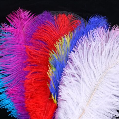 10Pcs Bulk Natural Colorful Ostrich Feathers,12-14 inch (30-35cm) Beautiful Long Feather for Crafts,Wedding Centerpieces Party Home Decoration,Dress and Christmas DIY (Colorful, 12-14in) in Saudi Arabia