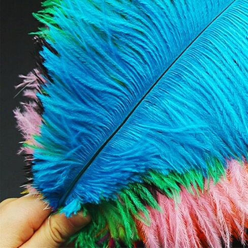 10Pcs Bulk Natural Colorful Ostrich Feathers,12-14 inch (30-35cm) Beautiful Long Feather for Crafts,Wedding Centerpieces Party Home Decoration,Dress and Christmas DIY (Colorful, 12-14in) in Saudi Arabia