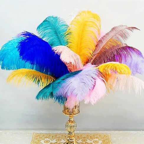 10Pcs Bulk Natural Colorful Ostrich Feathers,12-14 inch (30-35cm) Beautiful Long Feather for Crafts,Wedding Centerpieces Party Home Decoration,Dress and Christmas DIY (Colorful, 12-14in) in Saudi Arabia